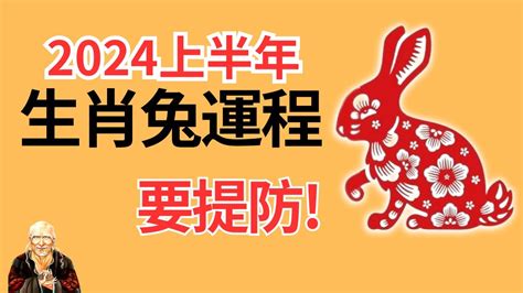 兔2024|属兔2024年运程及运势详解 2024年属兔人全年每月运势